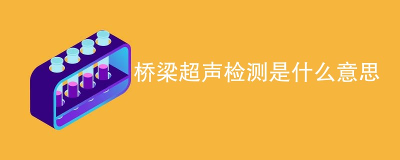 桥梁超声检测是什么意思