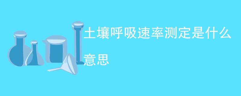 土壤呼吸速率测定是什么意思