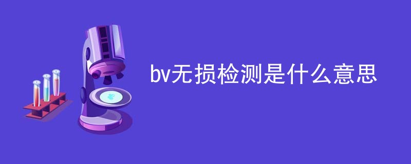 bv无损检测是什么意思