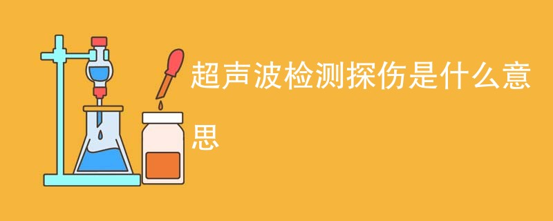 超声波检测探伤是什么意思