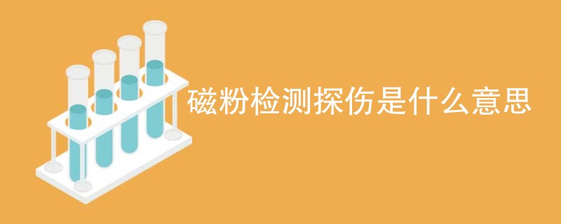 磁粉检测探伤是什么意思