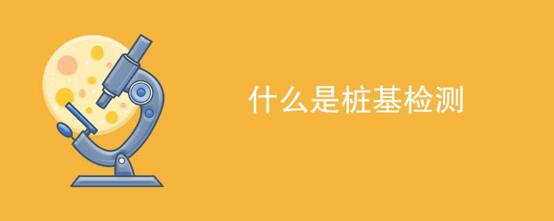 什么是桩基检测
