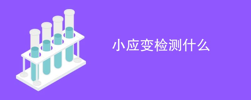 小应变检测什么