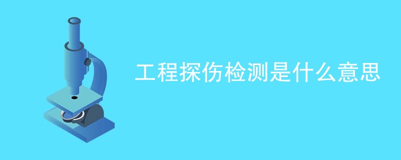 工程探伤检测是什么意思