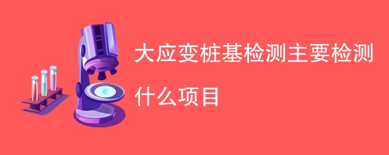 大应变桩基检测主要检测什么项目