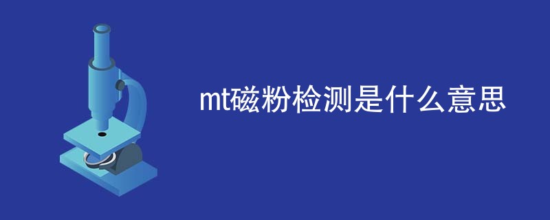 mt磁粉检测是什么意思