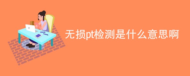 无损pt检测是什么意思啊
