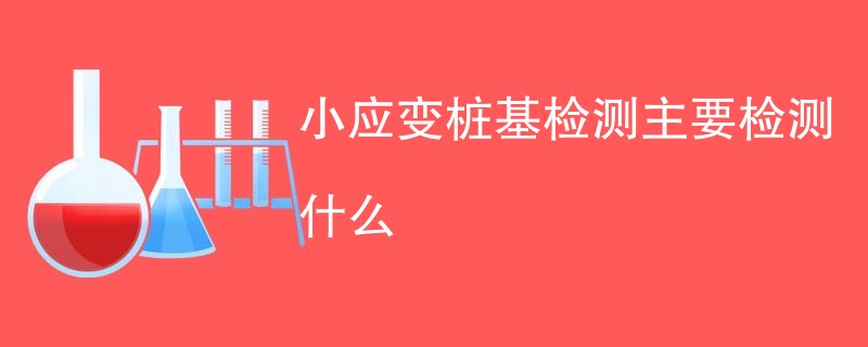 小应变桩基检测主要检测什么
